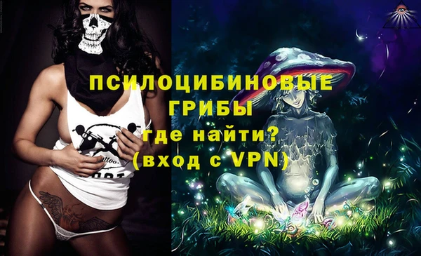 твердый Горнозаводск