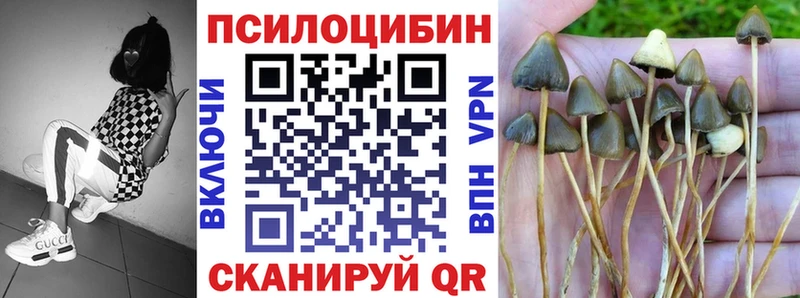Галлюциногенные грибы ЛСД  купить наркотики сайты  блэк спрут онион  Зарайск 